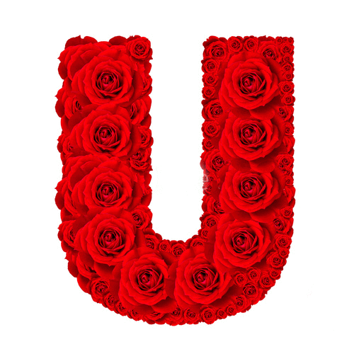 u নামের পিকচার | u letter picture